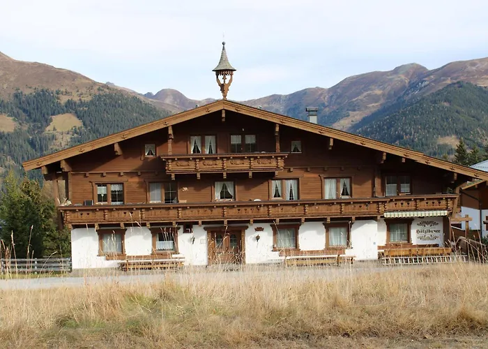 Haus Hoelzlbauer 4 公寓