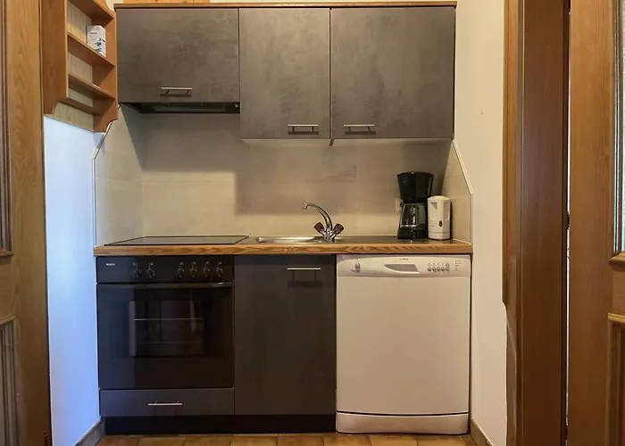 公寓 Haus Hoelzlbauer 4 *